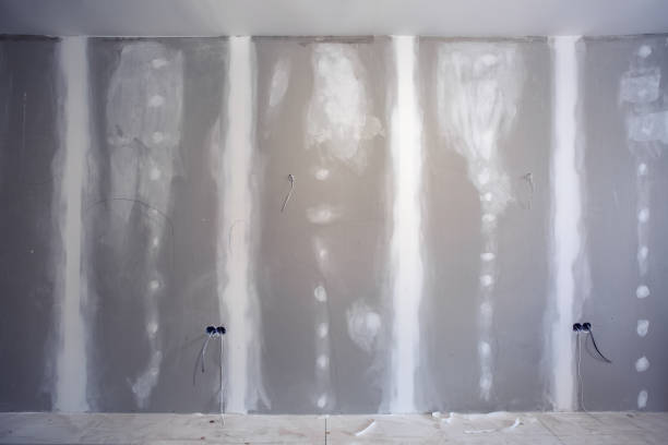 Best Water-Damaged Drywall Repair  in Spring Grove, IL